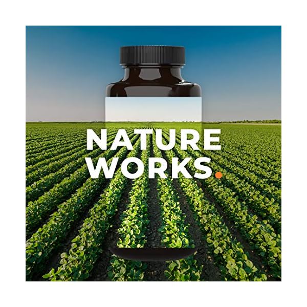 LifeSeasons-Anxie-T-Herbal-Stress-Relief-Supplement-to-Relax-and-Calm-Mind-Contains-Ashwagandha-Kava-Kava-GABA-L-Theanine-60-Capsules Anxie-T - Stress Relief Supplement - Booosts Mood & Mental Focus - Supports Natural Sleep Cycles - Feel Calm and Relaxed - Eases Tension - Ashwagandha, Kava Kava, GABA & L-Theanine - 60 Capsules