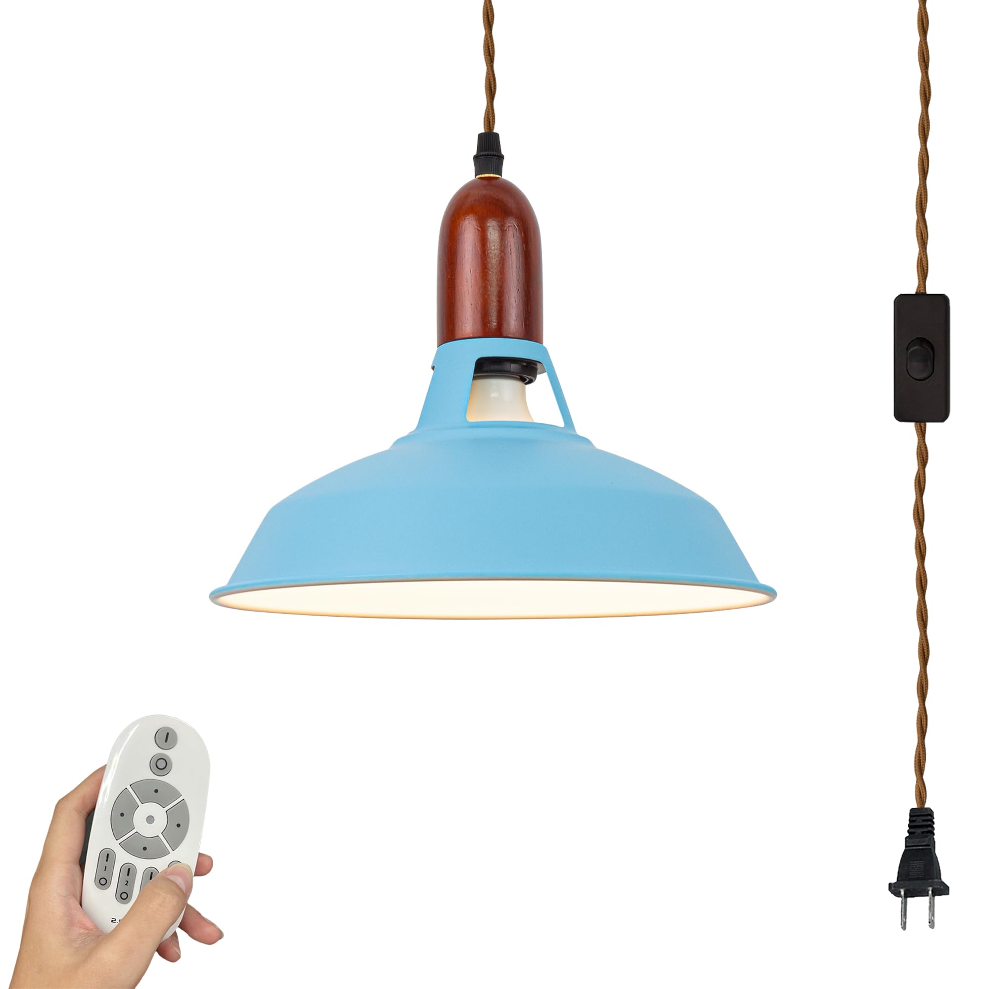 SKIVTGLAMP Remote Swag Lamp Dimmable Portable Plug-in Pendant