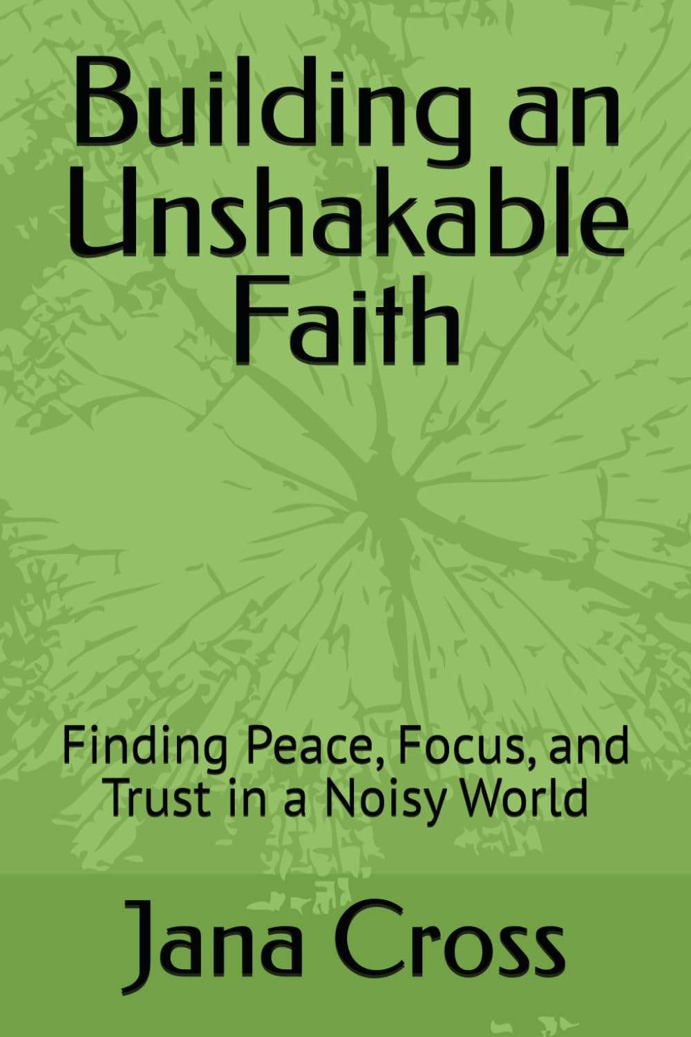 Building an Unshakable Faith: Finding Peace, Focus, and Trust in a Noisy World