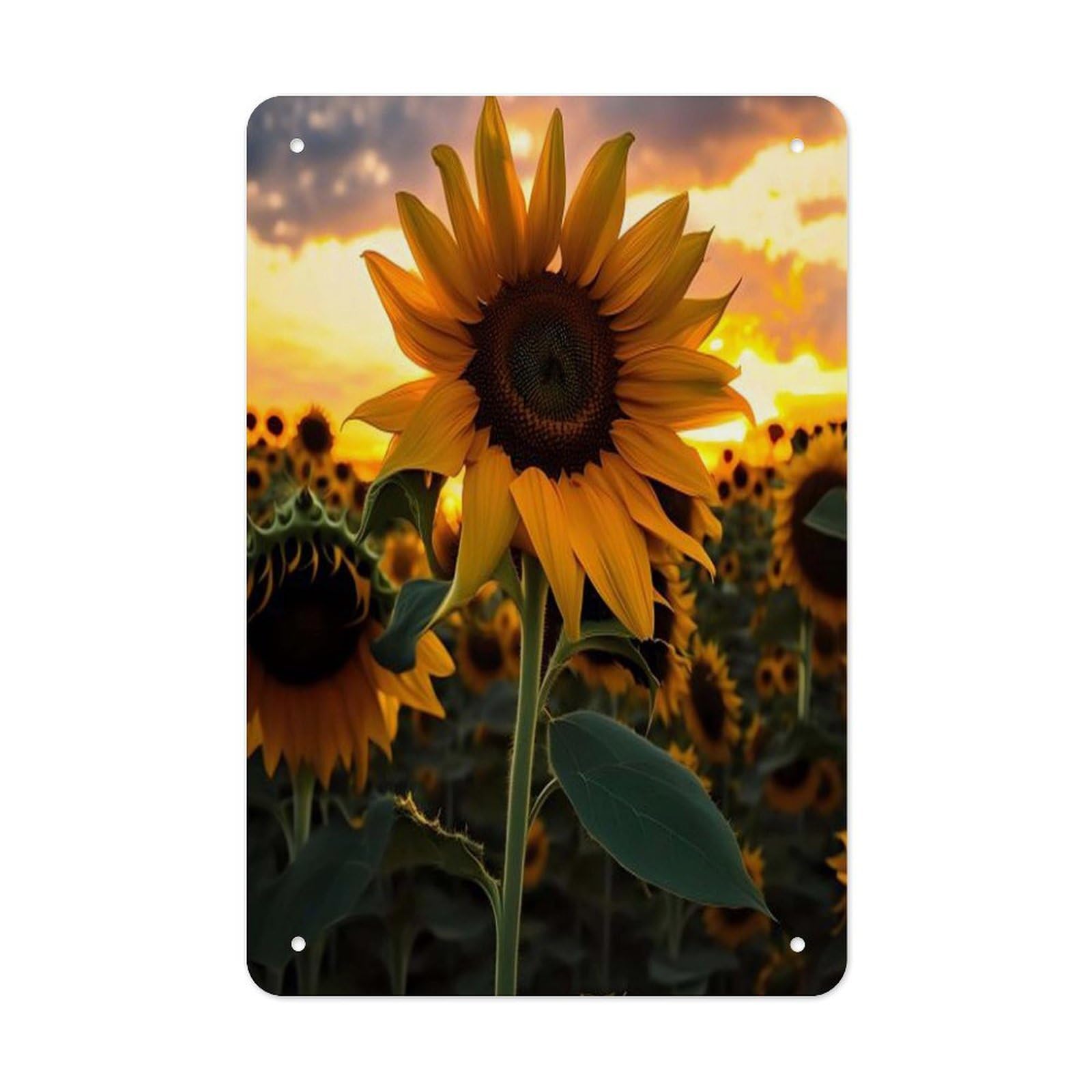 VstaDank Farm Sunflower Metal Tin Signs Personalized Wall Art Prints Decoration Art Poster Funny Vintage Tin Sign Iron Sheet Painting Metal Signboard Decor Painting for Wall Decor
