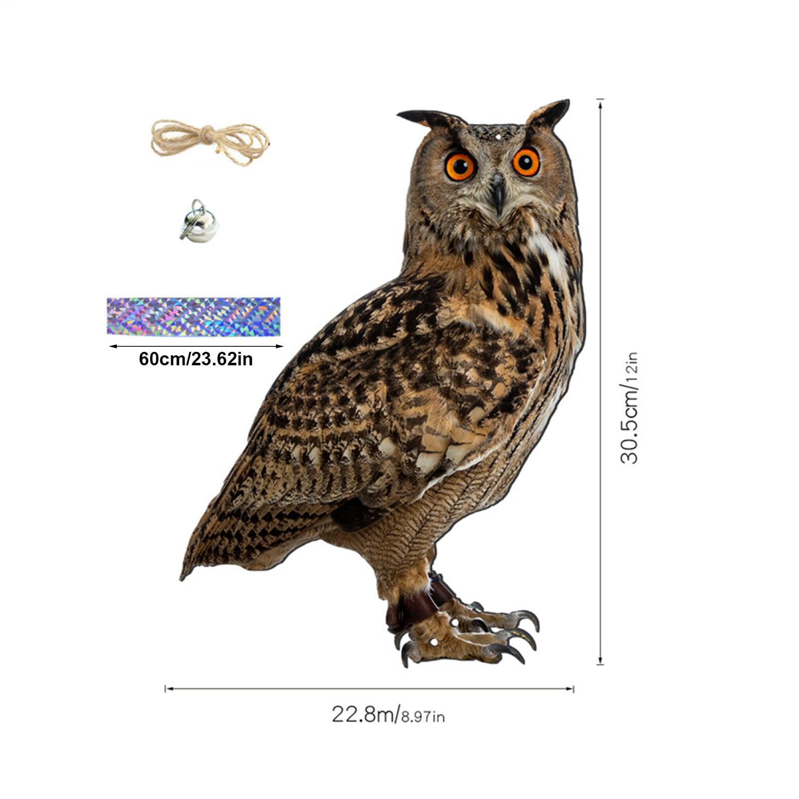 View 5
