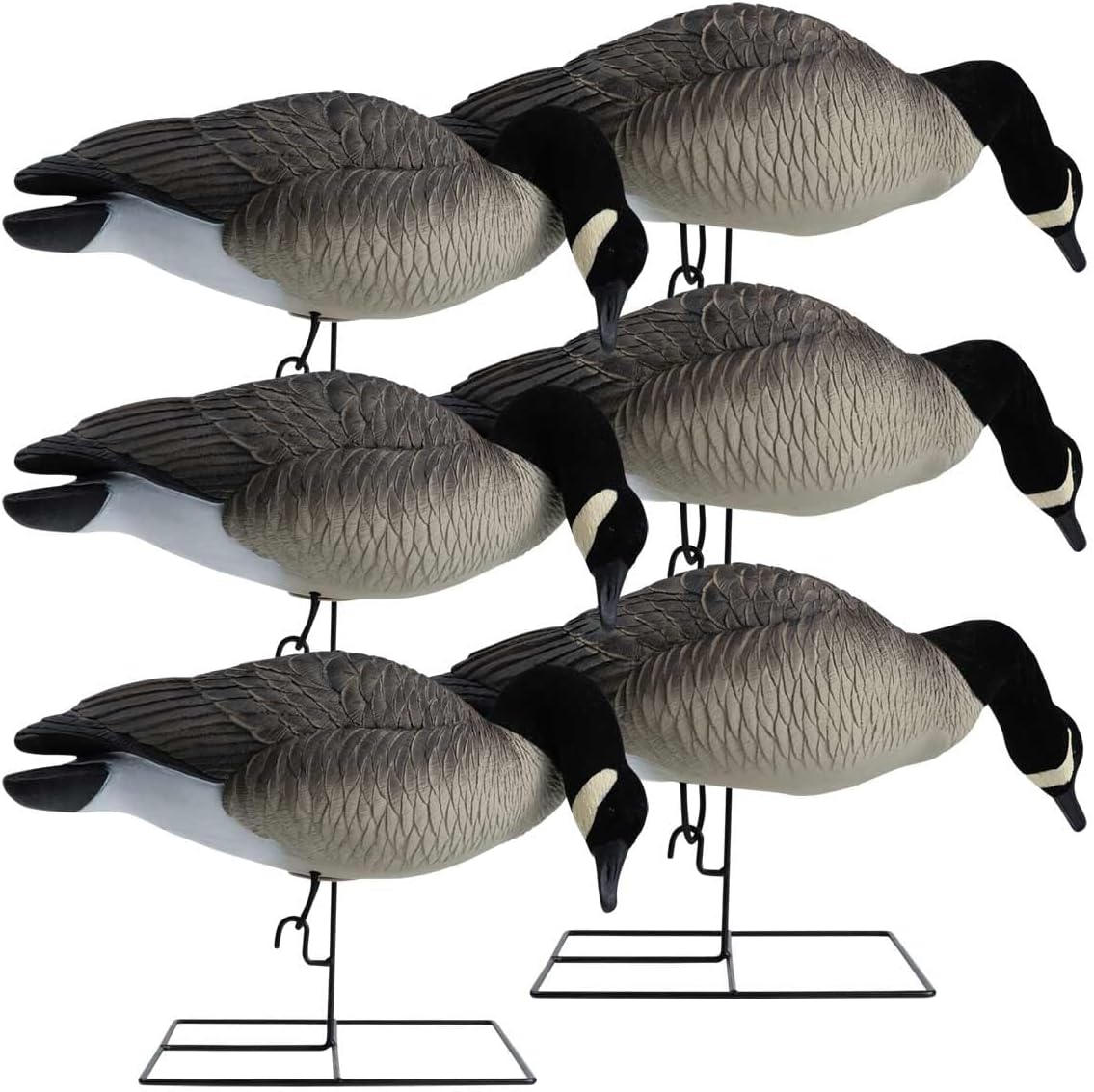 Hardcore Waterfowl Rugged Series Full Body Flocked Head Canada Goose Hunting Decoys - Feeder 6 Pack