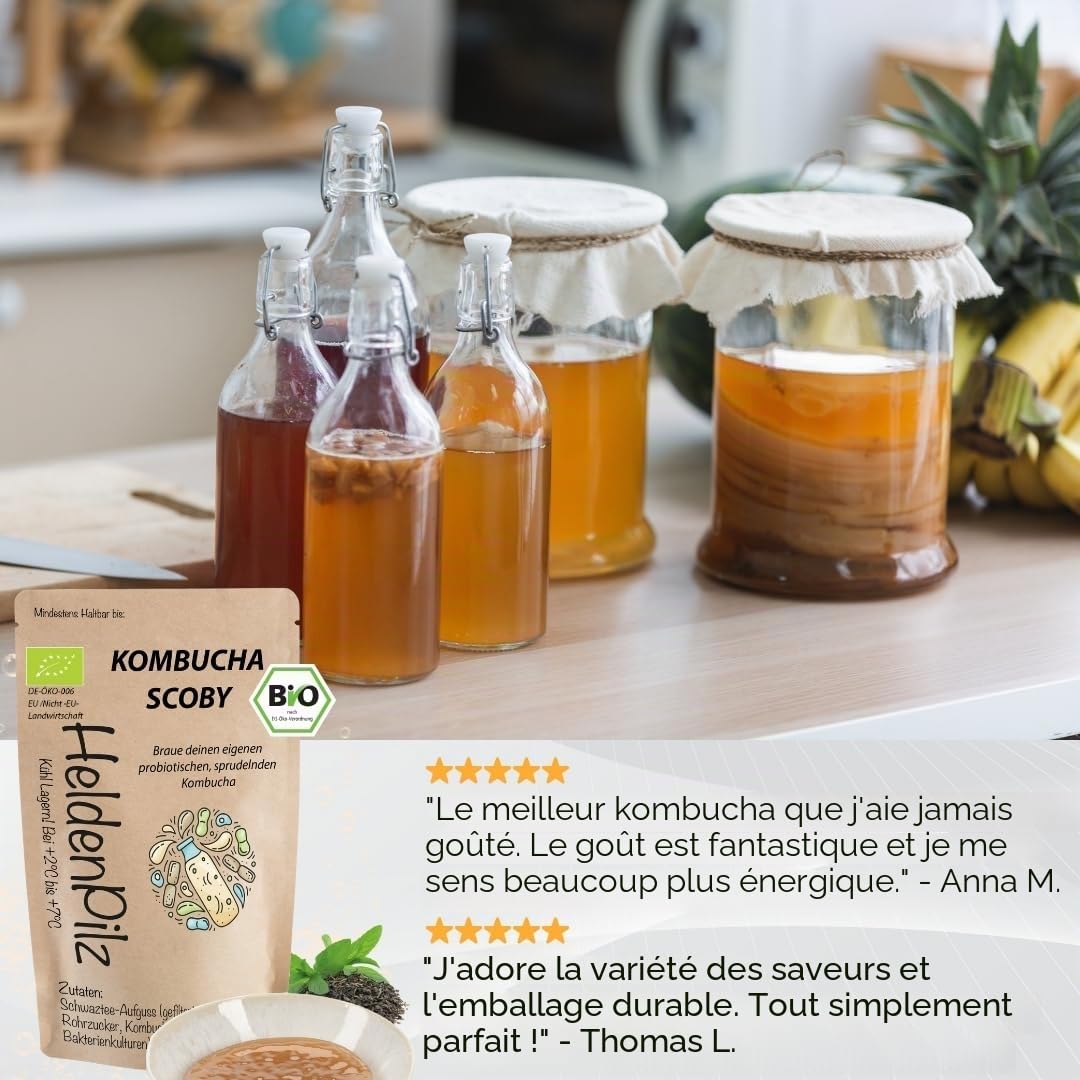 HeldenPilz® Champignon à thé bio Kombucha - Scoby vital et puissant avec liquide de racine | Pour 6 l de kombucha | Garantie de succès | 100 % naturel, durable