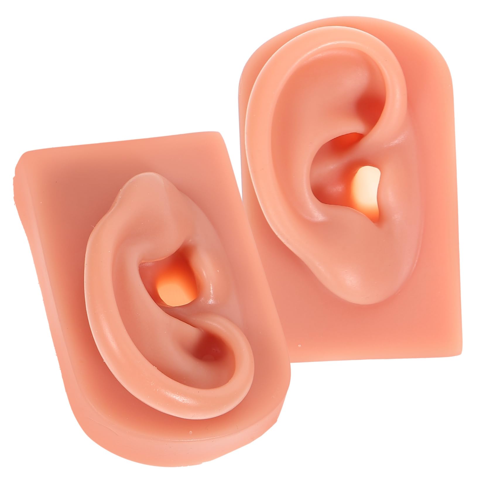 Didiseaon Realistic Silicone Ear Piercing Model Human Ear Anatomy for Practice Training Teaching Tools