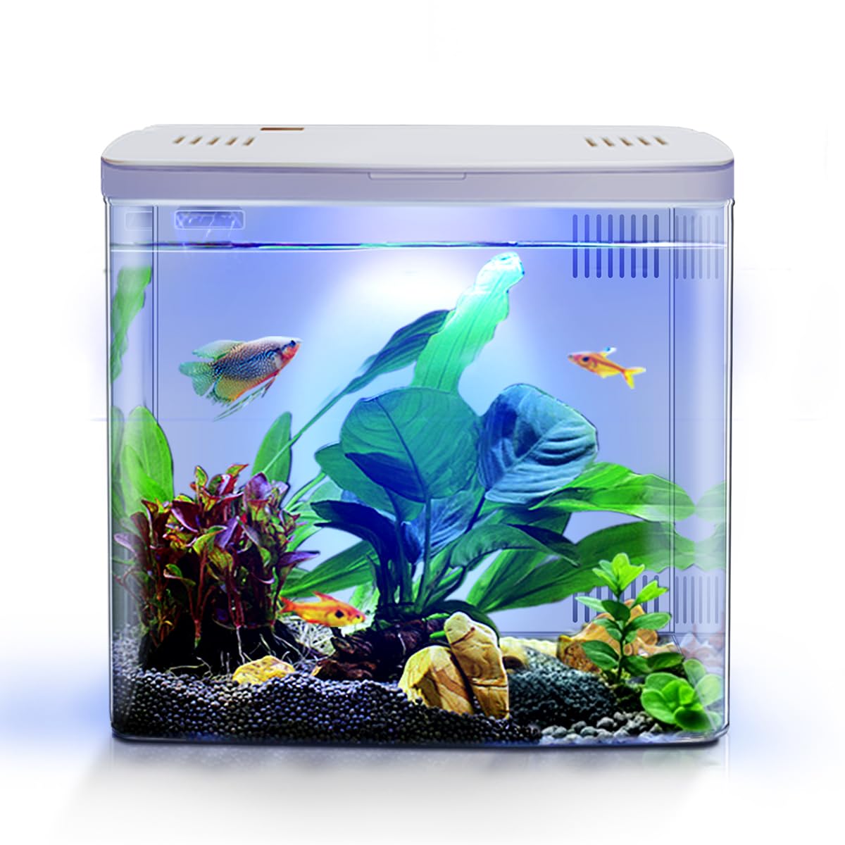Kits de iniciación de acuario de 4,5 L, pecera pequeña Betta con LED y filtro (blanco)