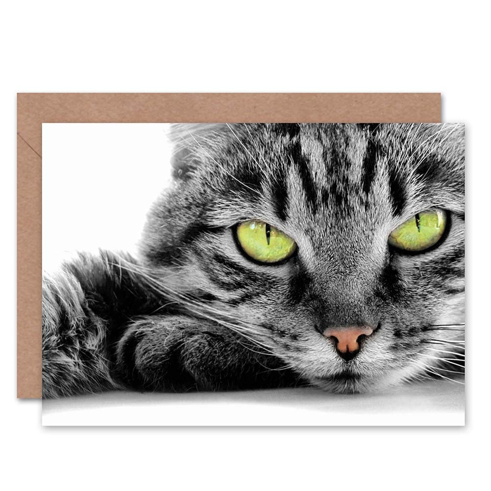 Wee Blue Coo Cat Eyes Close Up Face Cute Animal Birthday Sealed Greeting Card Plus Envelope Blank inside