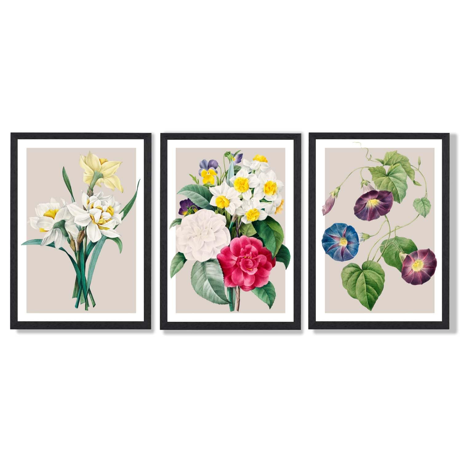 ARTZE Set of 3 Vintage Spring Flowers Daffodil Wall Art Black Frames Size: (A3-33 x 45 cm)