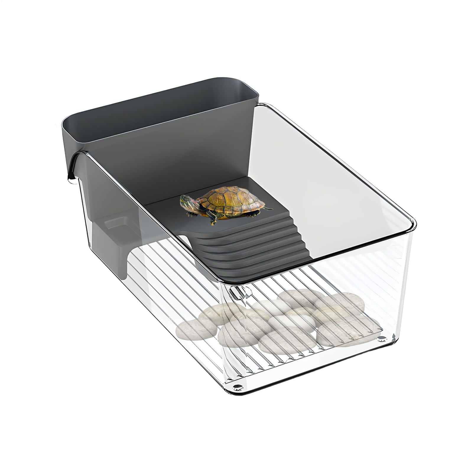 Aquarium pour tortue avec plage de bains de soleil pour petits crabes et amphibiens