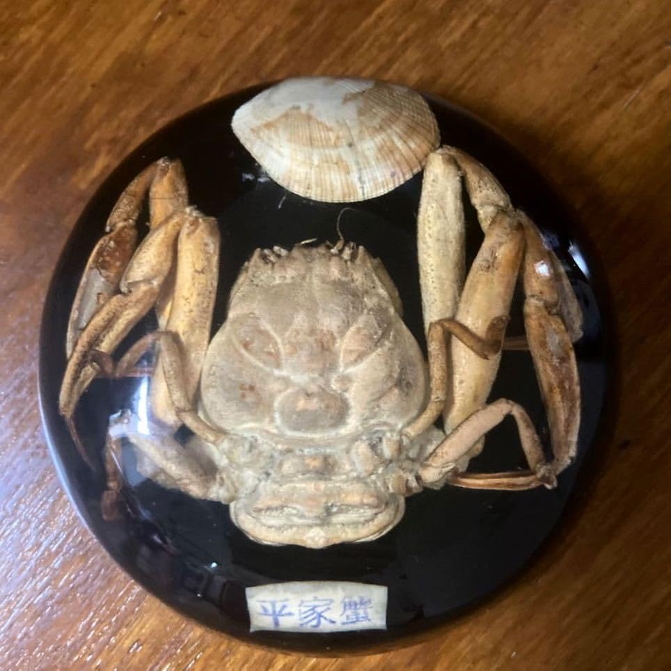 Amazon.co.jp: 平家蟹 文鎮ペーパーウエイト置物机上アクセサリー