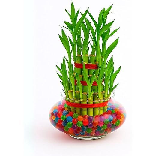 3 Layer Bamboo Plants for Home Decoration
