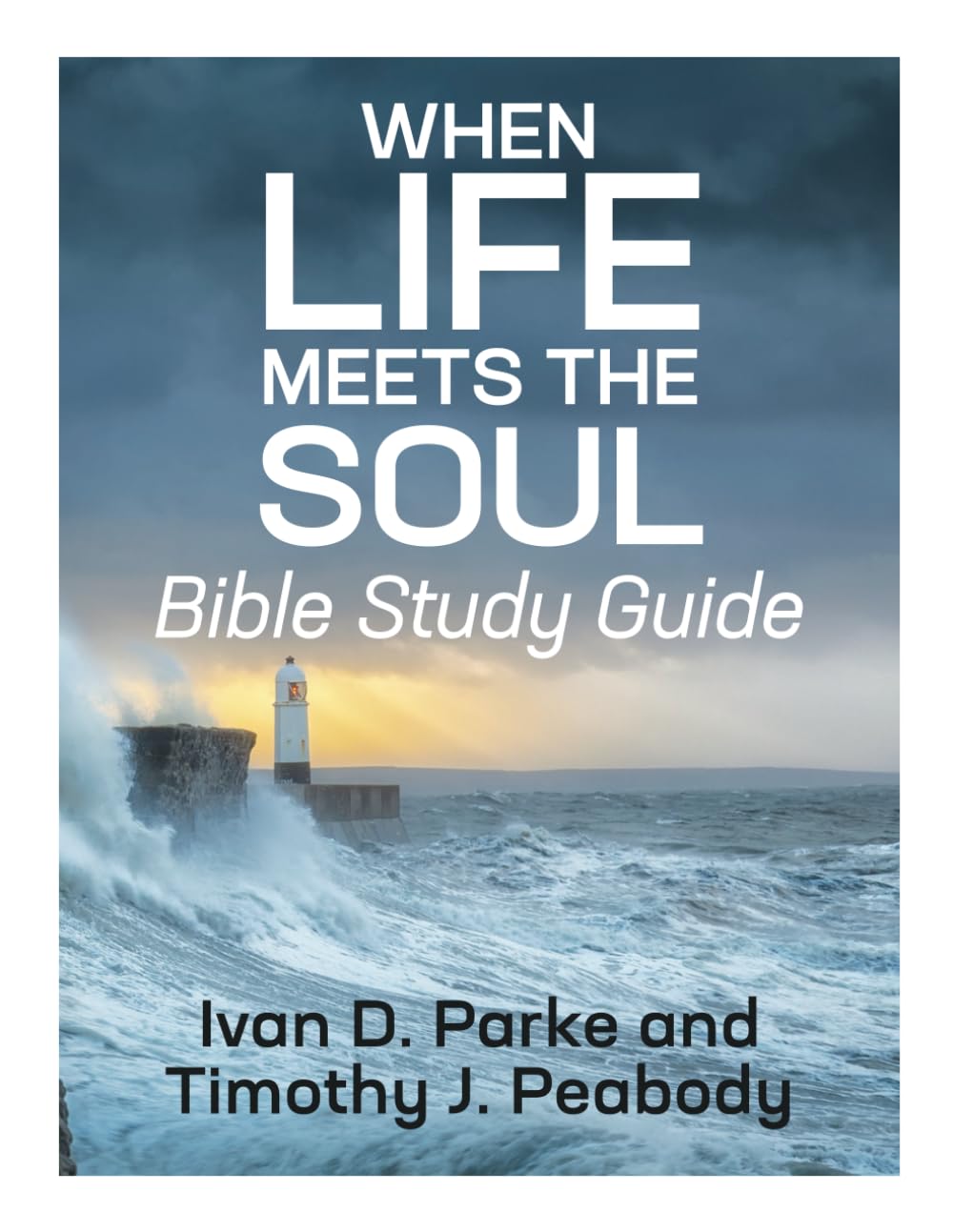 When Life Meets the Soul Bible Study Guide: A 10-week small group Bible study on the book of Job