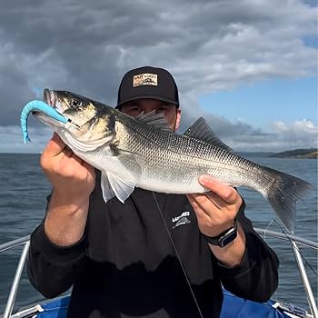 Lazy Lures Renaissance Predator Pack (18g/14cm) U2013 5 Saltwater Fishing Lures Per Pack For Bass, Pollock, Cod & Other Predatory Fish, Salt And