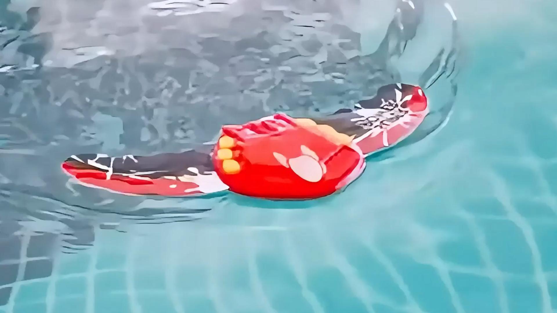 HERKINDNESS Giochi Piscina, 8 Pezzi Giochi per Piscina Bambini, Giocattoli da Immersione, 4 Stili Trasparenti e 4 Stili Opachi, per L'addestramento Subacqueo e attività Ricreative Subacqueo