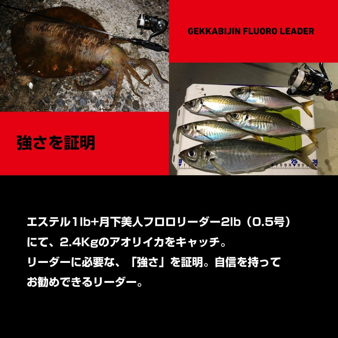 Amazon | ダイワ(DAIWA) フロロライン 月下美人 フロロリーダー 1lb