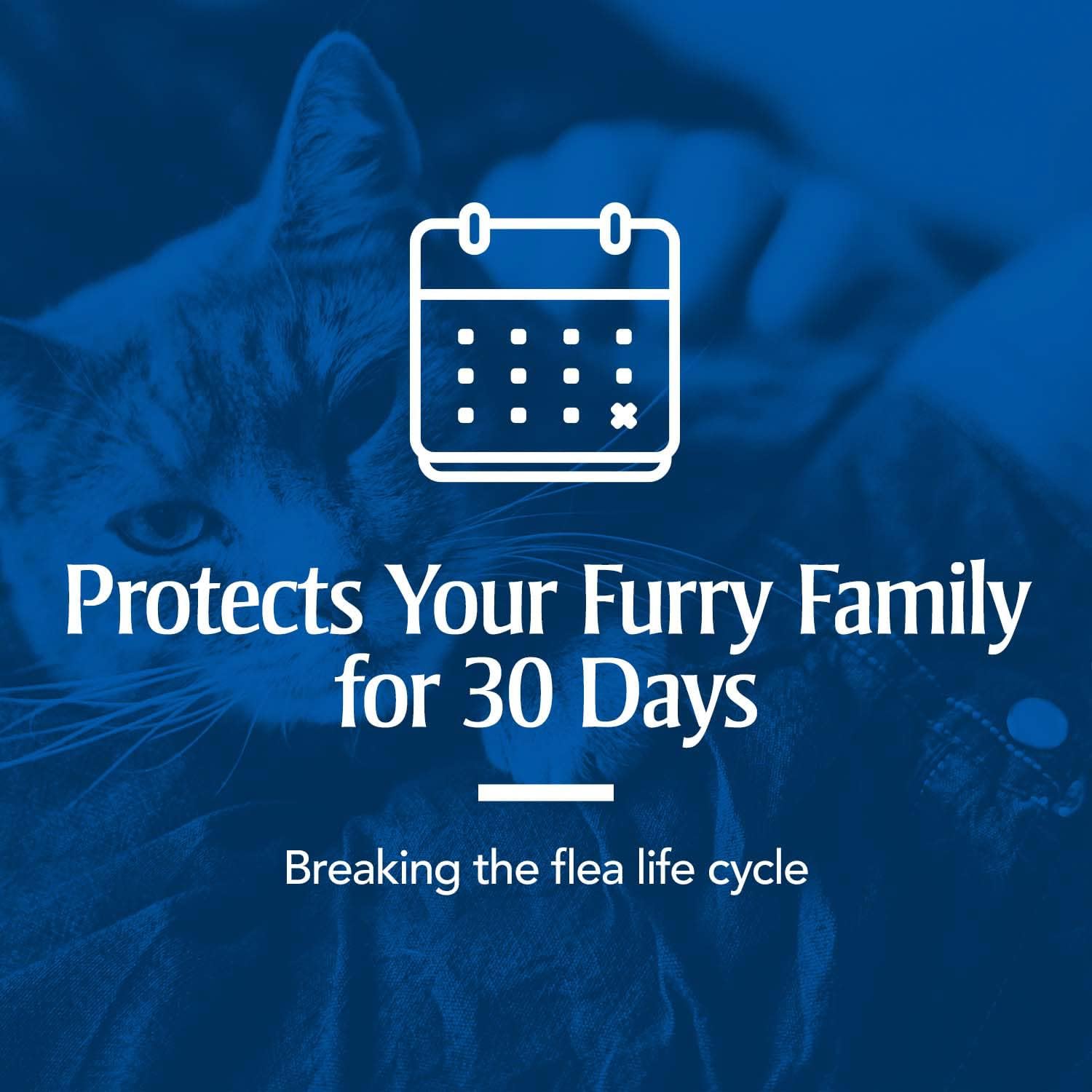 PetArmor Plus Flea & Tick Prevention for Cats Over 1.5 lbs, Waterproof Topical, Fast Acting & Long Lasting, Compare to Leading Brand, 3 Doses : Pet Supplies