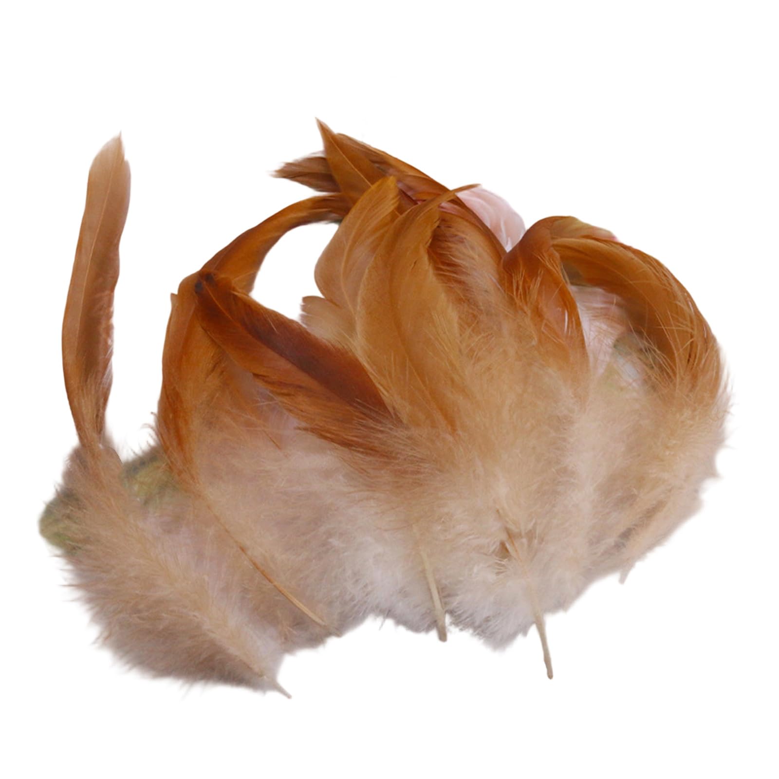 Limtula 100PCS Soft Plumage for Projects Portable Decorative Materials Ideal for Costume Design and Party Decoration Long Craft Quills