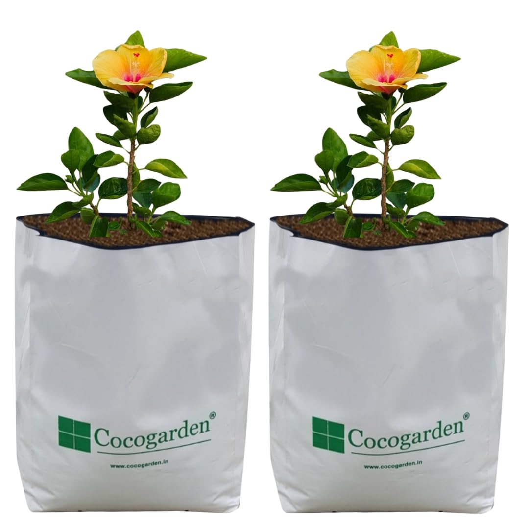 Cocogarden Grow Bags - Terrace Gardening -17 Cocogarden Grow Bags - Terrace Gardening -17