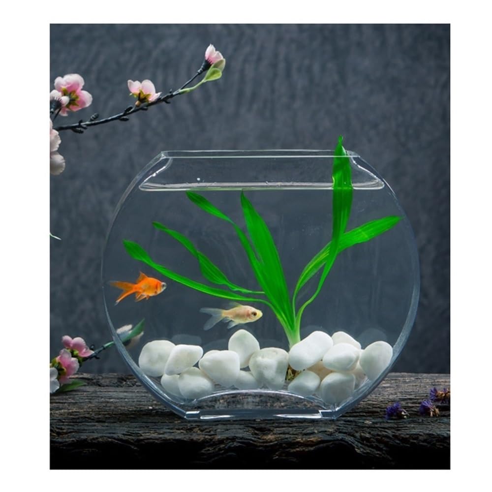 Acquario Decorazione for scrivania da soggiorno, acquario in vetro piatto e rotondo a forma di pesca
