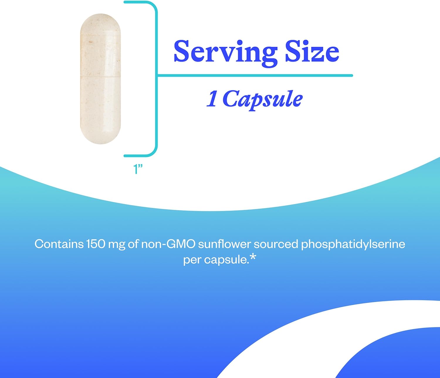 Seeking Health Phosphatidyl Serine - Brain Support Supplement with Sunflower Oil & Phospholipids - Vegetarian & Gluten-Free Capsules - 150 mg, 60 Capsules