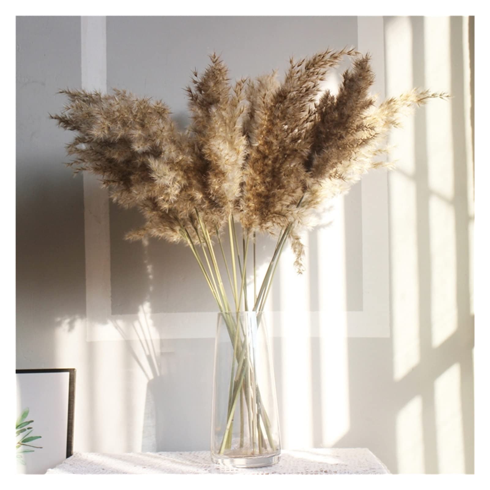 Amazon.co.jp: ZHANGTIAN 乾燥パンパスグラスふっくらした茶色の茶色の