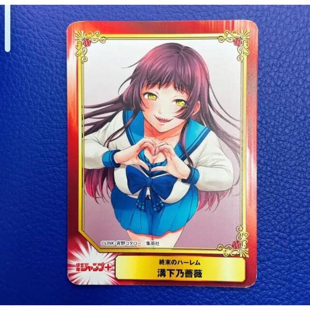 SCFカード ジャンプフェア SCFフェア アニメイト 計18種 SCFカード ジャンプフェア SCFフェア アニメイト 計18種