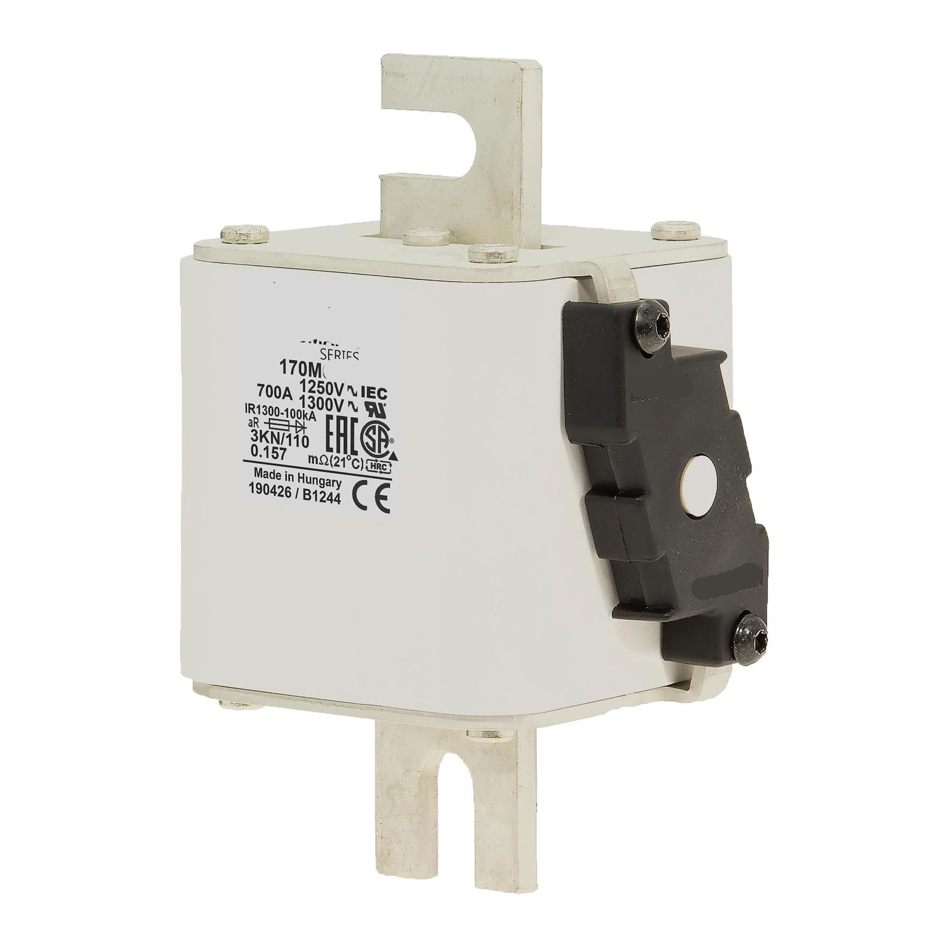 QRUYHBAJU 1250V Fuse 170M6251 Fuse 170M6251