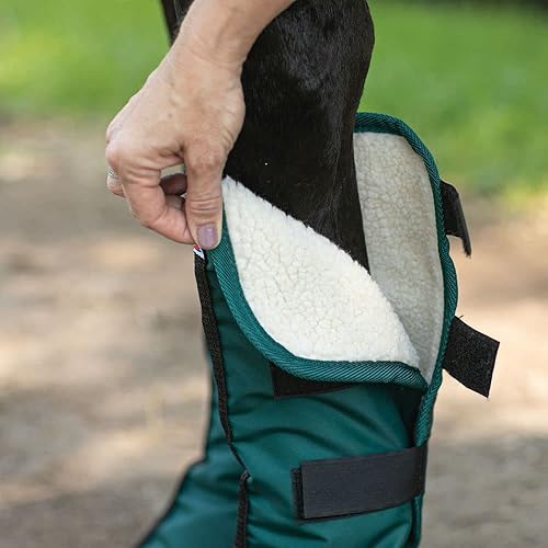 Miniatura 7 de Botas prémium para envío de caballos de 14 pulgadas  Un par  Botas de envío  Protección definitiva para patas de caballo  Diseño envolvente  Nylon
