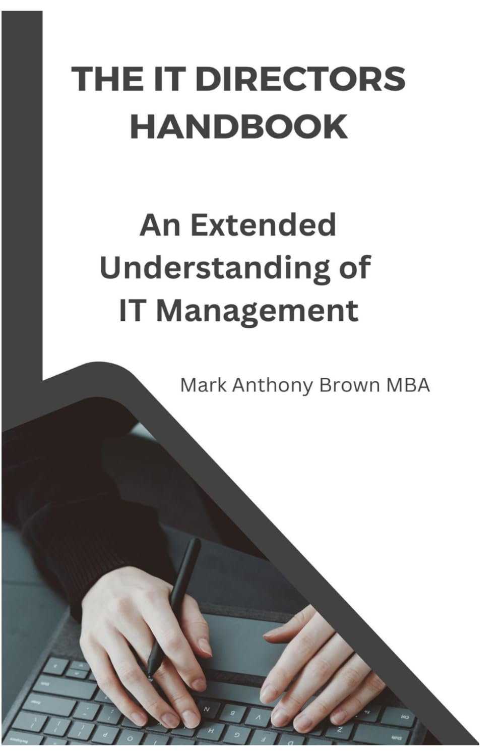 The IT Directors Handbook: An Extended Understanding Of IT Management (IT Insight: Mastering Management and Security)