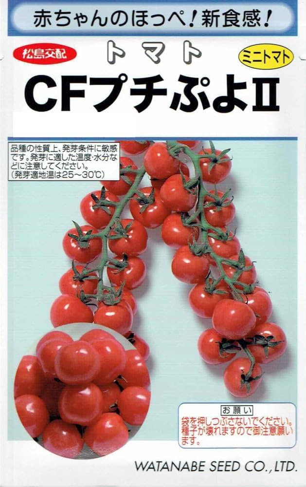 Amazon.co.jp: 渡辺採種場 ミニトマト種子 CFプチぷよⅡ 7粒入り 甘く