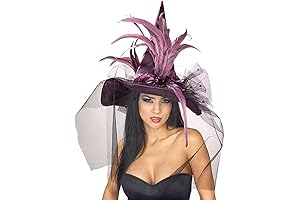 Rubie's Costume Co. Women's Witch Hat with Feathers and Veil Costume