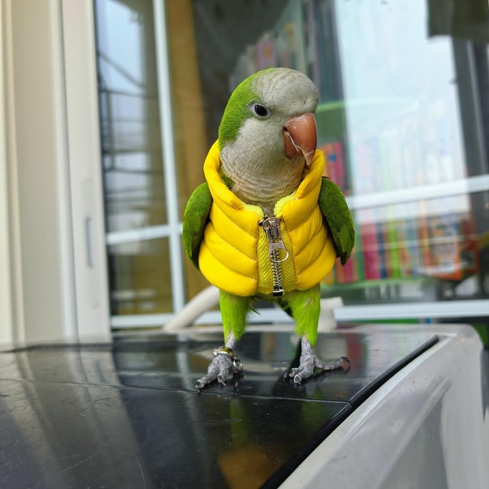 Pet Bird Winter Vest, Yellow Puffer Jacket with Zipper, Small Parrot Apparel (5XL)