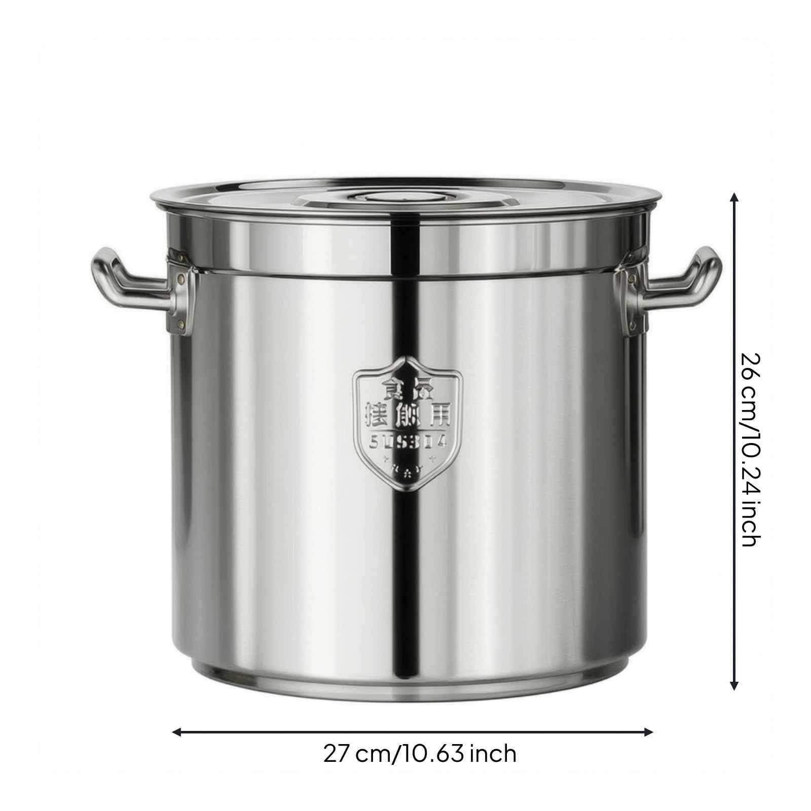 Pentola con Coperchio in Acciaio Inox Marmitta Resistente Al Calore Pentolone per Chef, Ristoratori, 25 25