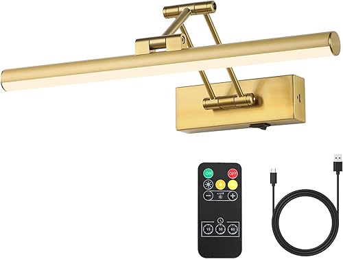 Joossnwell Luz de imagen inalámbrica funciona con pilas con control remoto, luces de arte LED para pinturas, recargable, regulable y temporizador,