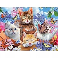 HEIBAGO 5D DIY Diamond Painting, DIY Dragons Diamond Painting For