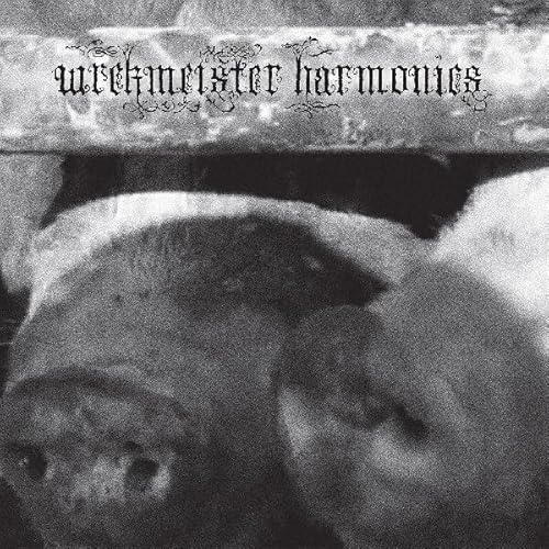 Flowers in the Spring [Vinilo]