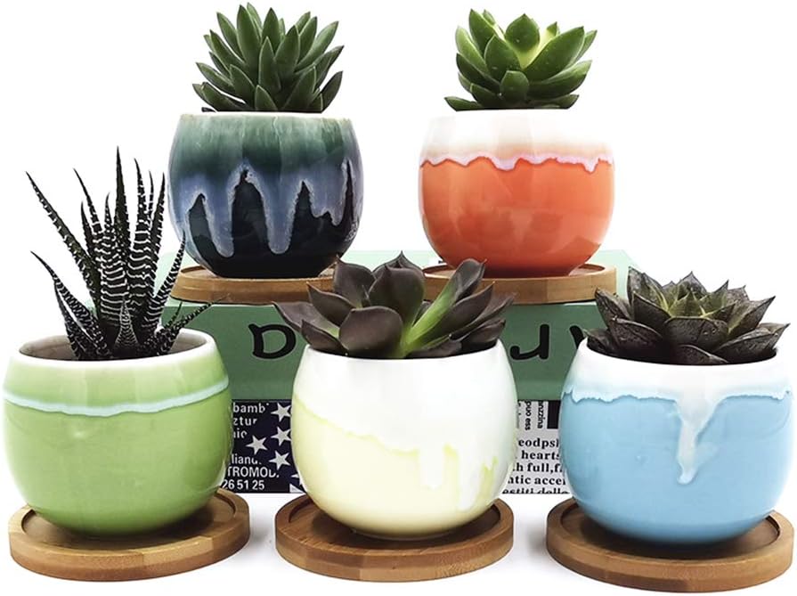 3.3 Inch Succulent Plant Pots, Flowing Glaze Ceramic Container Small Planters Garden Cactus Flower Pot with Bamboo Trays, Pack of 5 (Plants Not Included)