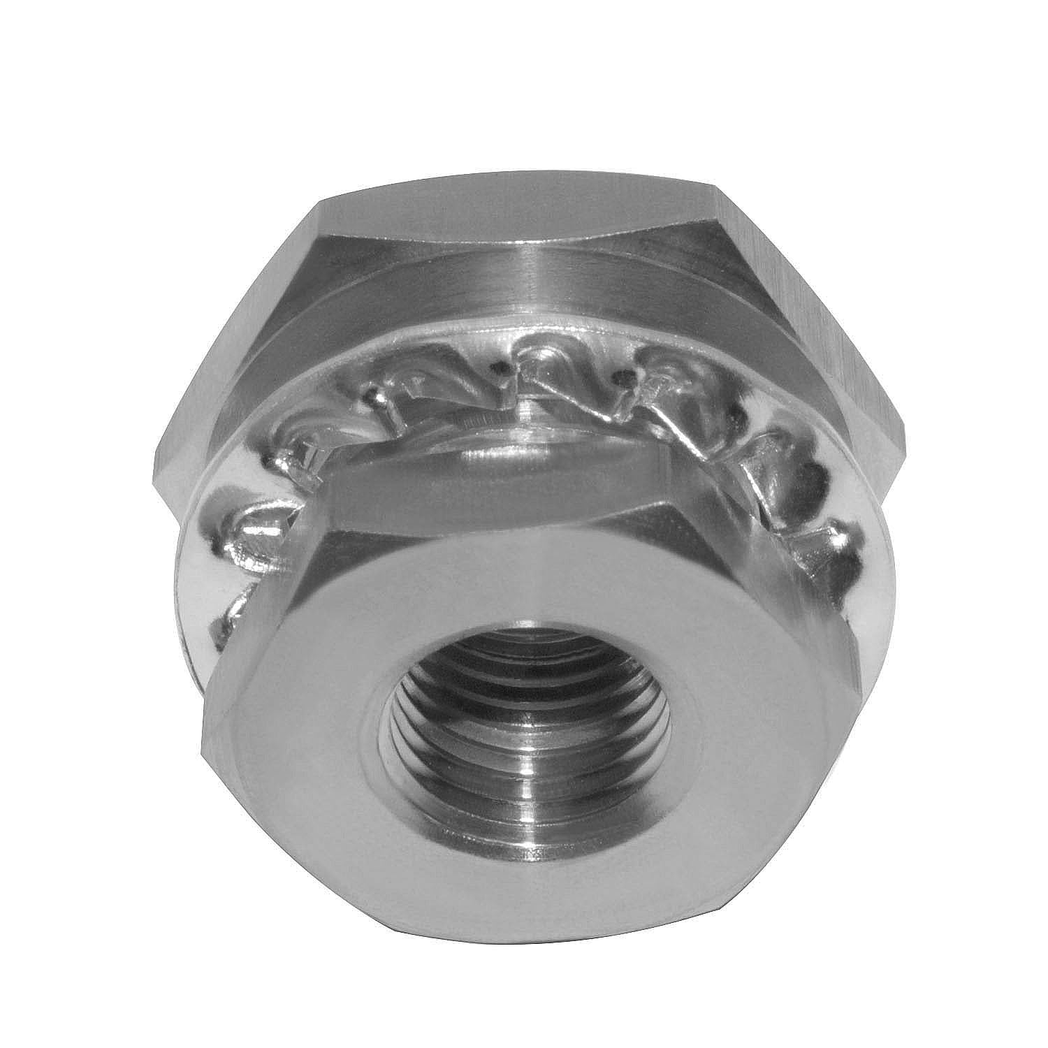 Beduan Acoplador de mamparo hembra NPT de 1/4" de acero inoxidable a granel de tubería (rosca hembra completa)