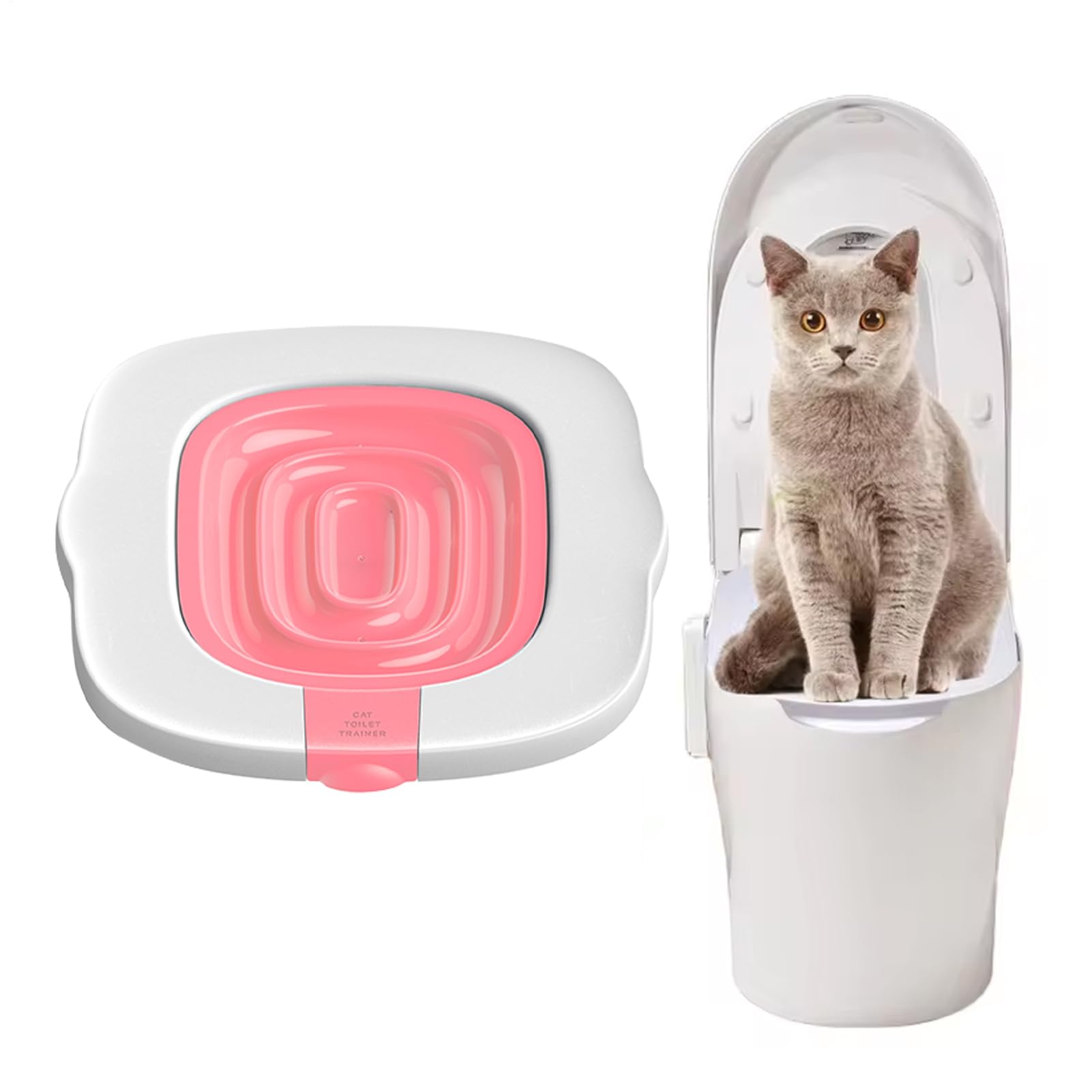 Apprentissage des toilettes pour chat pour supprimer la litière à la maison