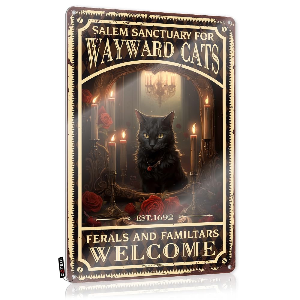 Decore Wall Art Name | Salem Sanctuary For Wayward Cats Poster Ferals And Familtars Welcome Poster Shabby Chic Saloon Decoration(30X40CM)