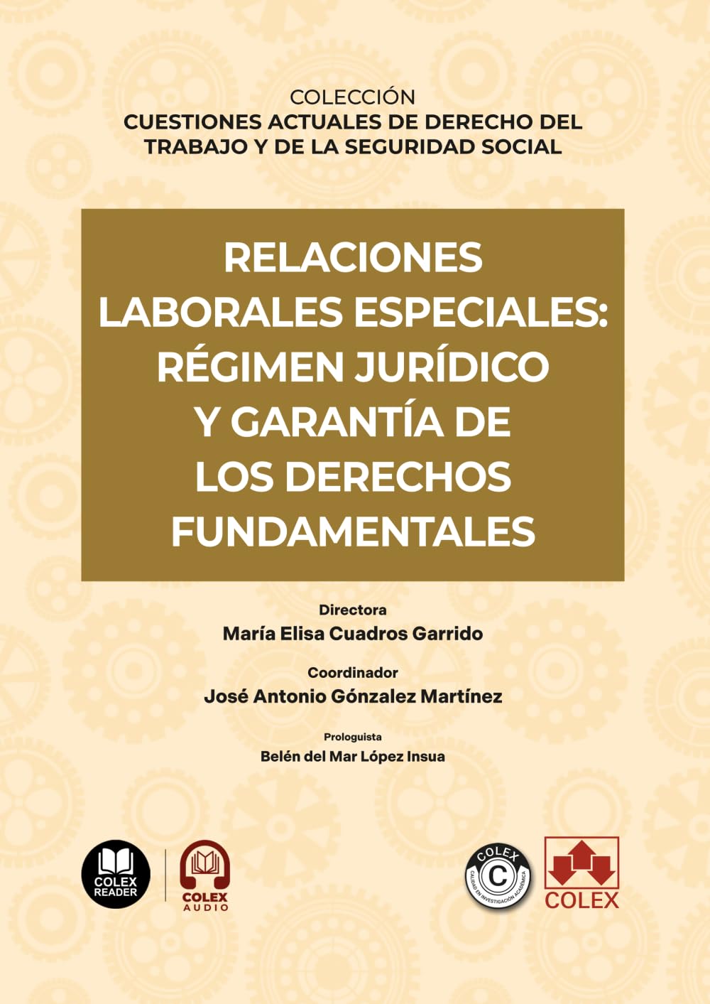 Relaciones laborales especiales: régimen jurídico y garantía de los derechos fundamentales: COLECCIÓN «CUESTIONES ACTUALES DE DERECHO DEL TRABAJO Y DE LA SEGURIDAD SOCIAL» (monografico)