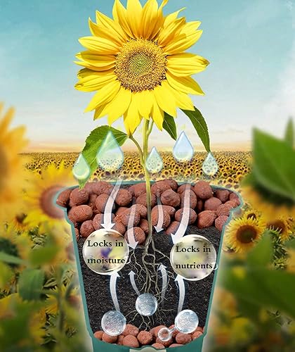 Miniatura 5 de Voulosimi Clay Pebbles - Rocas hidropónicas orgánicas de cerámica para horticultura, orquídeas, drenaje (18 libras)