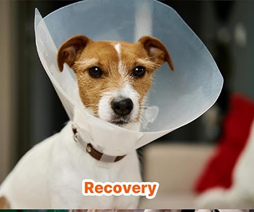 Miniatura 6 de InLife Súper calentador para perros y gatos  Todo natural y seguro, calor rápido instantáneo, calor fácil y cómodo  Activado por aire, constante de