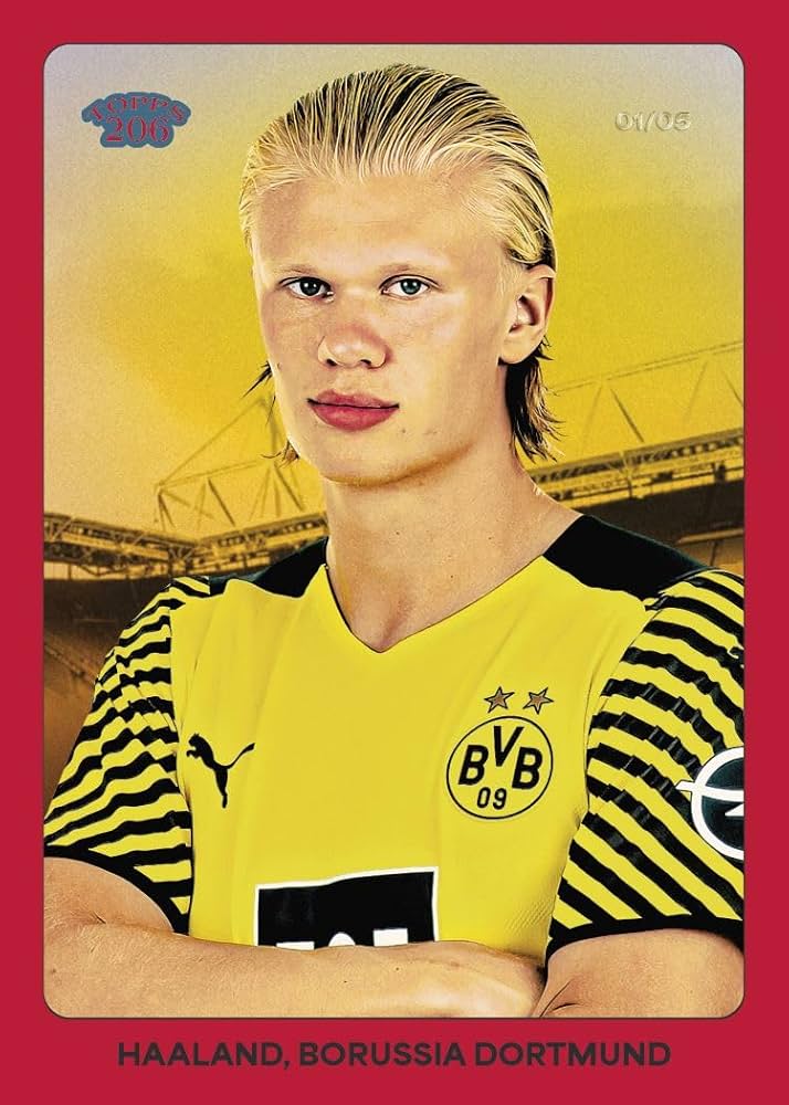 Amazon.co.jp: Topps Borussia Dortmund Team Set 2024-25 ボルシア