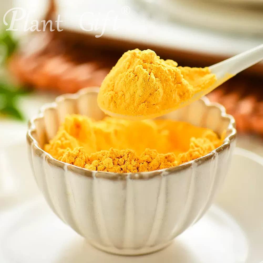 Plant Gift 100% Pure Pumpkin Powder 南瓜粉 Pasto naturale in polvere, ottimo sapore per bevande, frullato, yogurt, cottura, biscotti, torte e bevande, polvere non OGm 100G/3.25oz