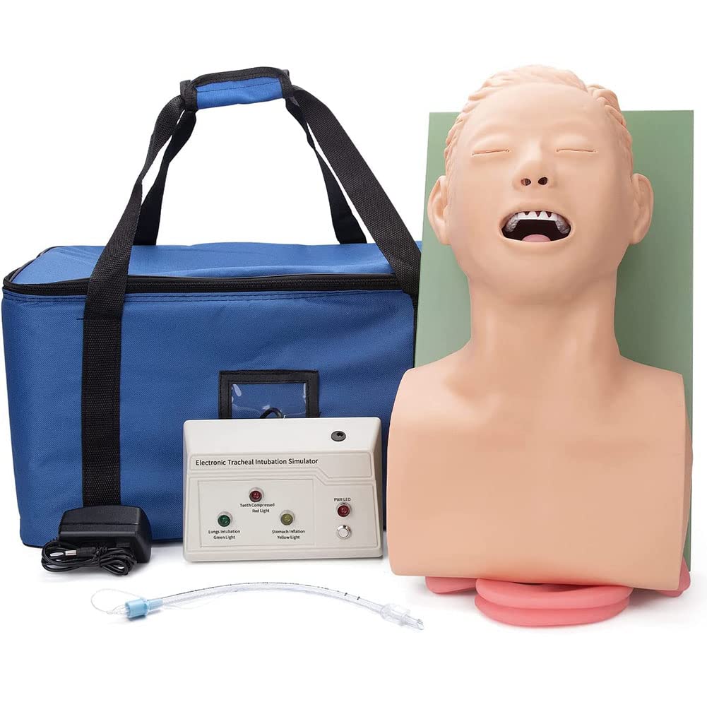 Buy Tracheal Intubation Training Simulator Model, Oral Nasal Intubation Manikin, Intubation