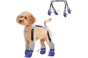 Dog Leggings with Waterproof Boots: Shield Your Small Pup's Paws