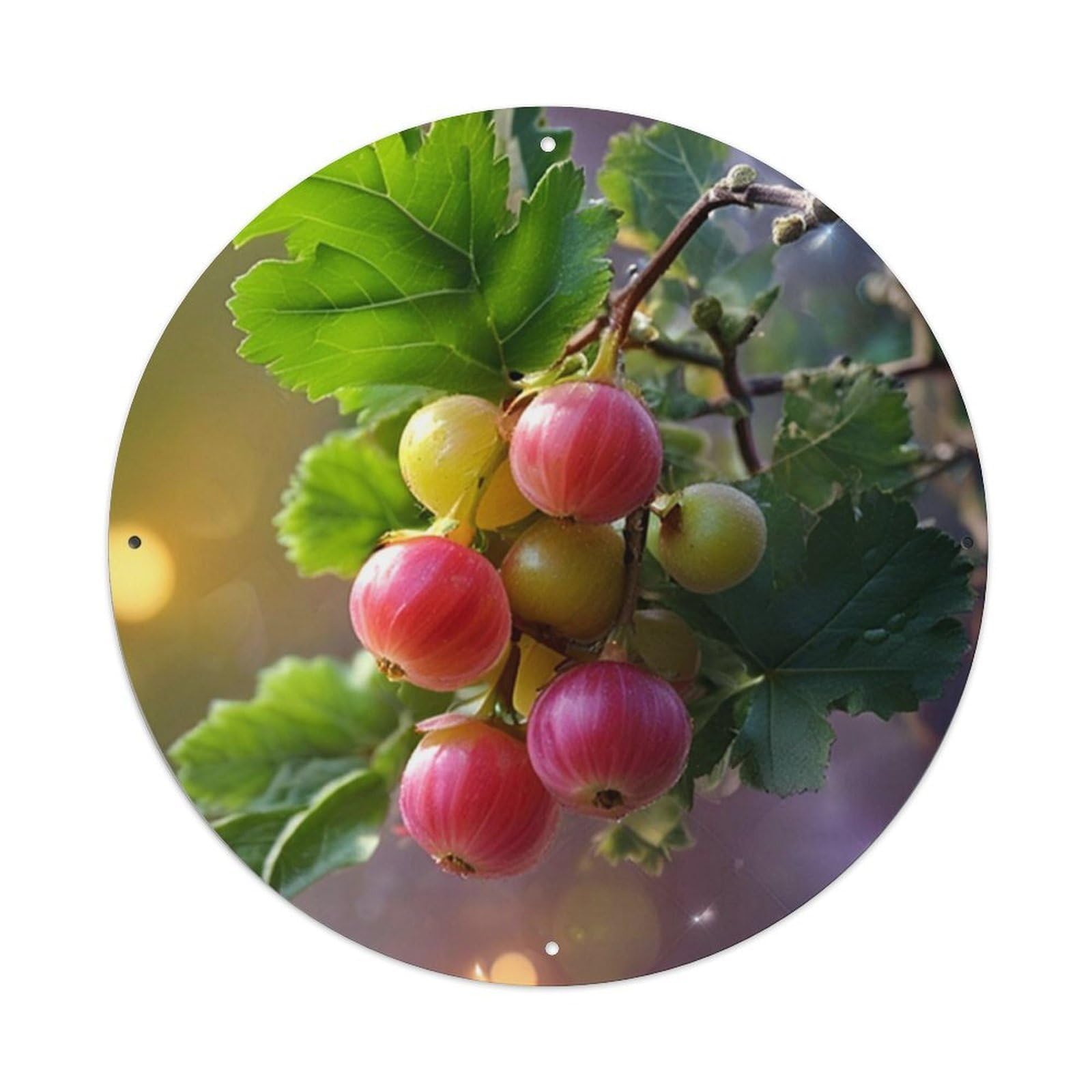 Fruit Cluster Green Leaves Sunlight Vintage Round Tin Sign Retro Metal Wall Decor Metal Poster, Home Bar Garage Cafe Wall Art Decoration 8x8Inches