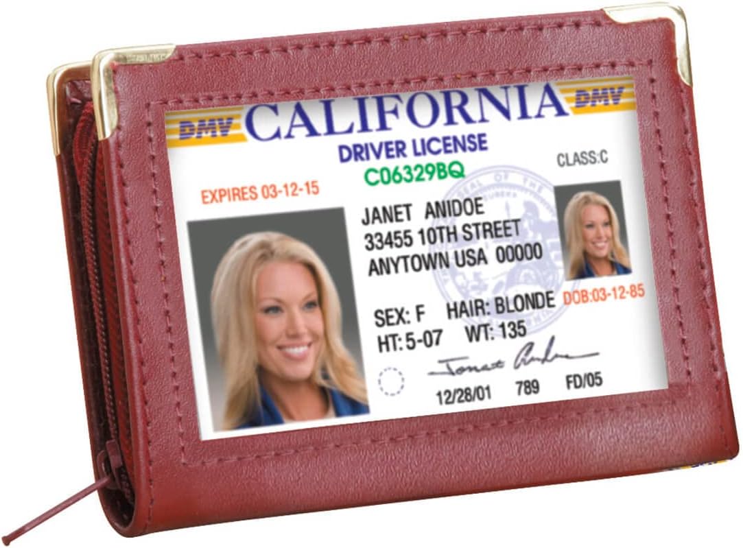 Dream Products Zip Up Security I.D. Credit Card Case, Burgundy