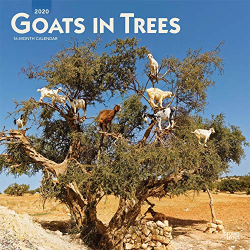 Télécharger Goats in Trees 2020 Calendar Francais PDF