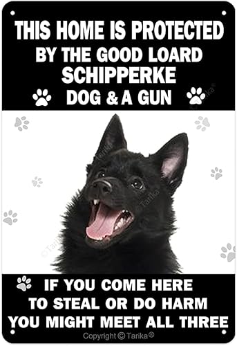 Póster de hierro con texto en inglés This Home is Protected by The Good Loard Schipperke Dog & A Gun (This Home is Protected by The Good Loard